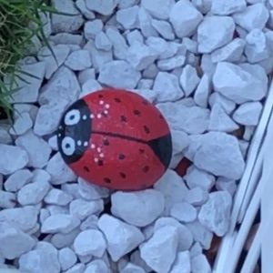 Meet your Posher, Sonya